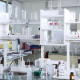 laboratorio