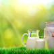 cantaro leche
