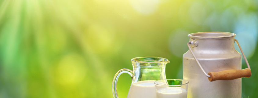 cantaro leche
